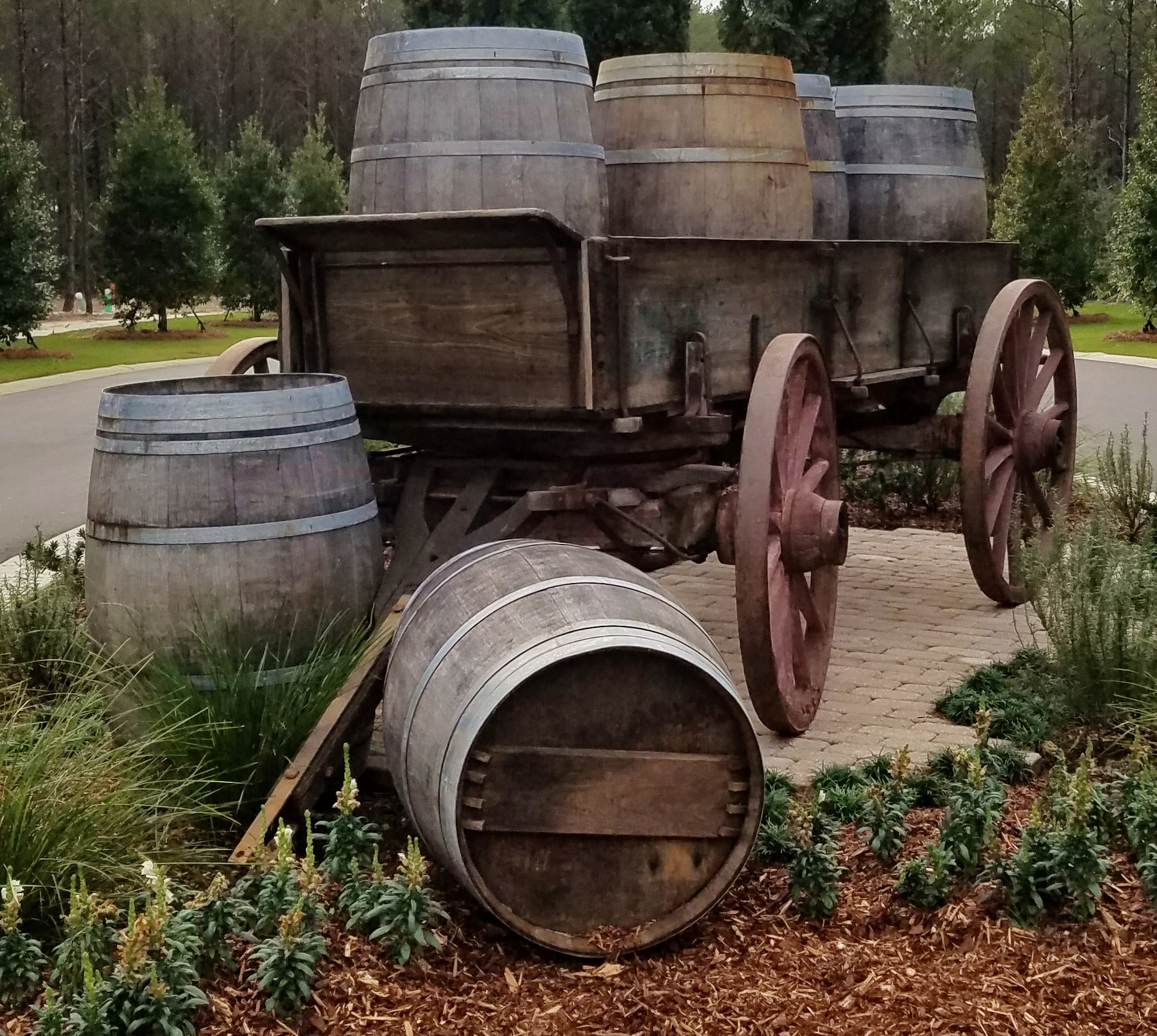 Vineyards At Hammock Bay